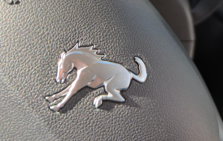 Picture of the icon Bronco logo in a Ford Bronco Sport